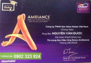 thông tin sơn giả đá được nguyễn